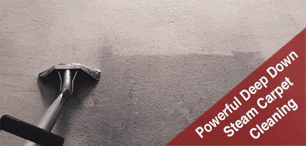 steam-carpet-cleaning